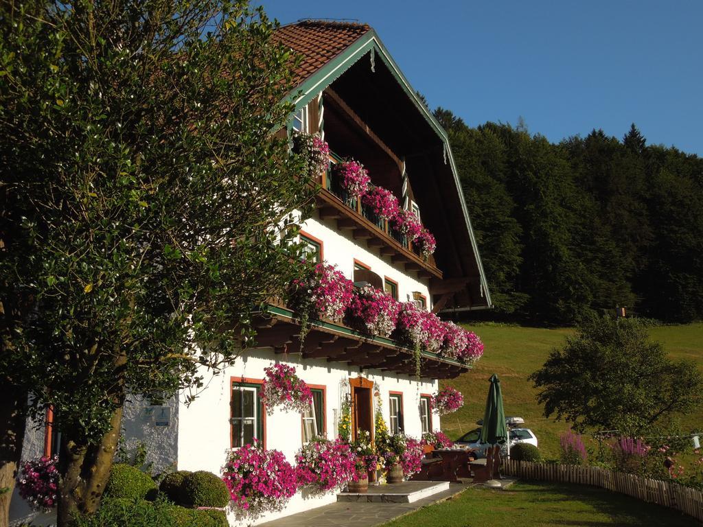 Wohlfuhlbauernhof Bambichlhof Villa Fuschl am See Exterior photo